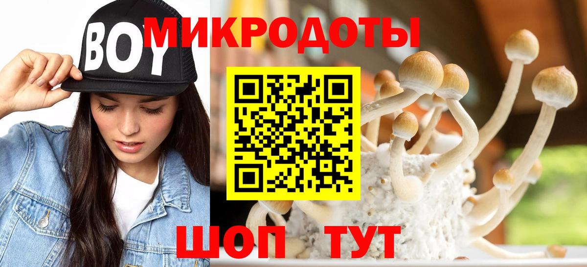 Галлюциногенные грибы Psilocybe  купить  сайты  Каменск-Уральский  Вход с VPN 